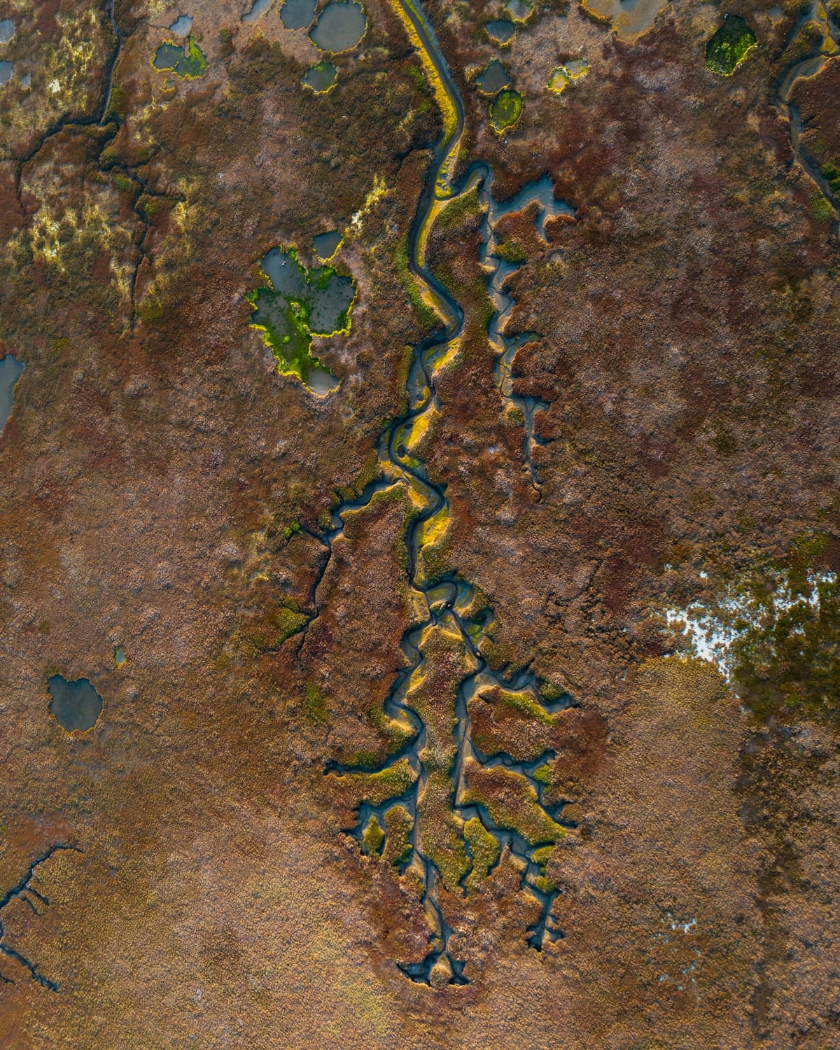 More Then Human Rights -MOTH Collective