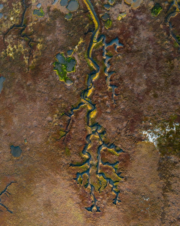 More Then Human Rights -MOTH Collective