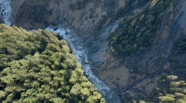 The Living Nooksack River